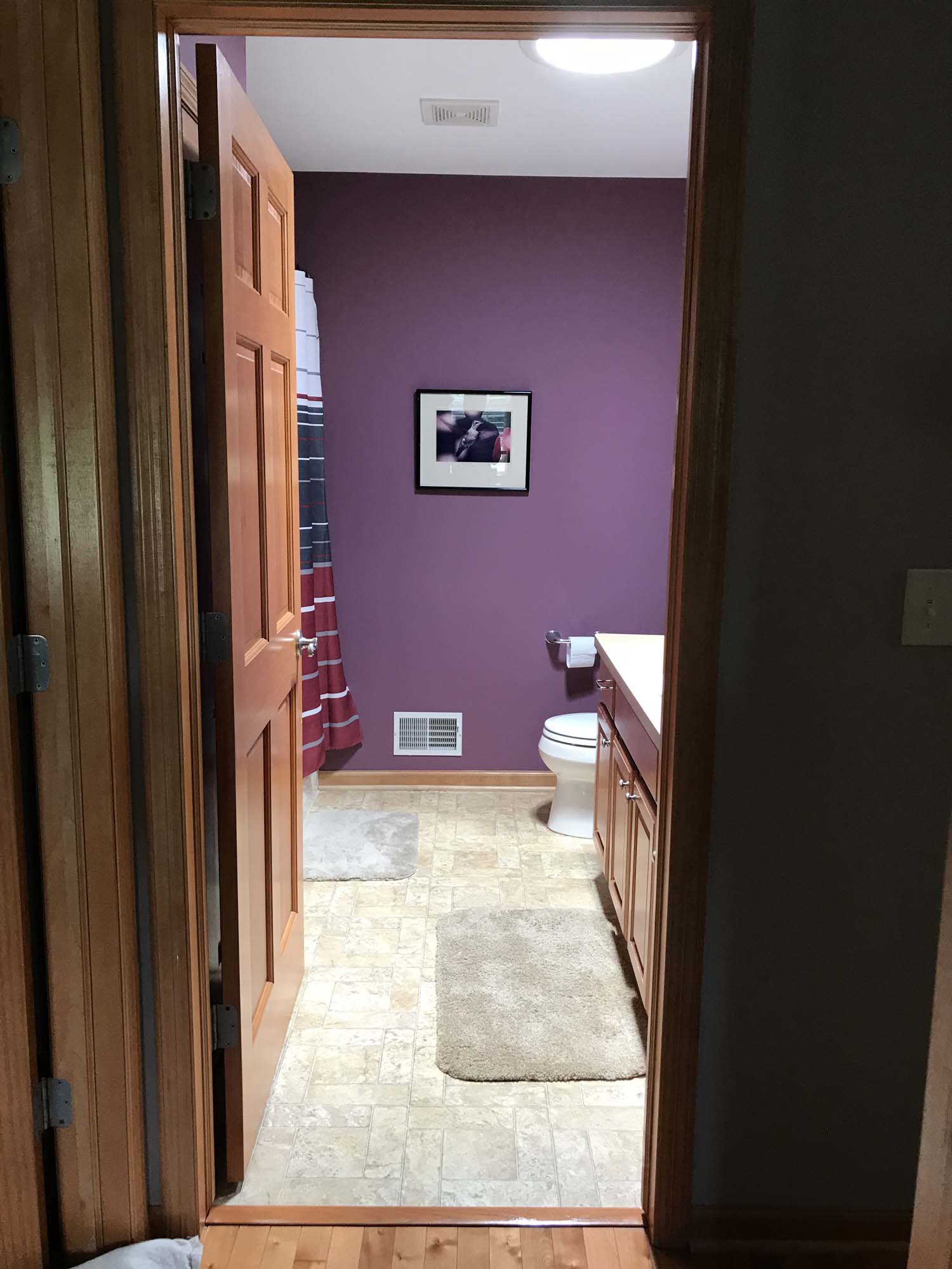 Circular VELUX sun tunnel skylight shines in on a lavender colored hall bathroom installed by Wisconsin Sunlight Solutions.